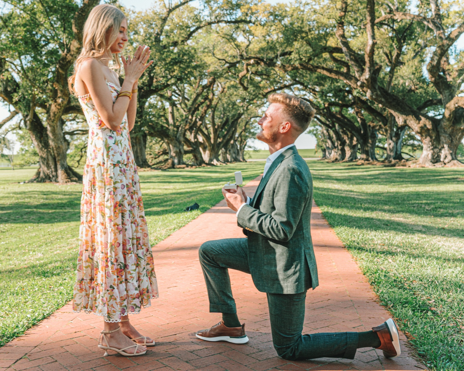 A surprise proposal beneath a long avenue of oak trees